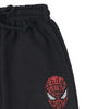 C2113 Gp Black Spiderman  Fleece 2-Pcs Suit