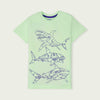 C1595 BZ Star War Soft Green T-Shirt