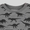 C1962 CAL-REP Dino Party D-Grey Sweat Shirt