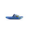 C2224 Lovely Blue Slipper